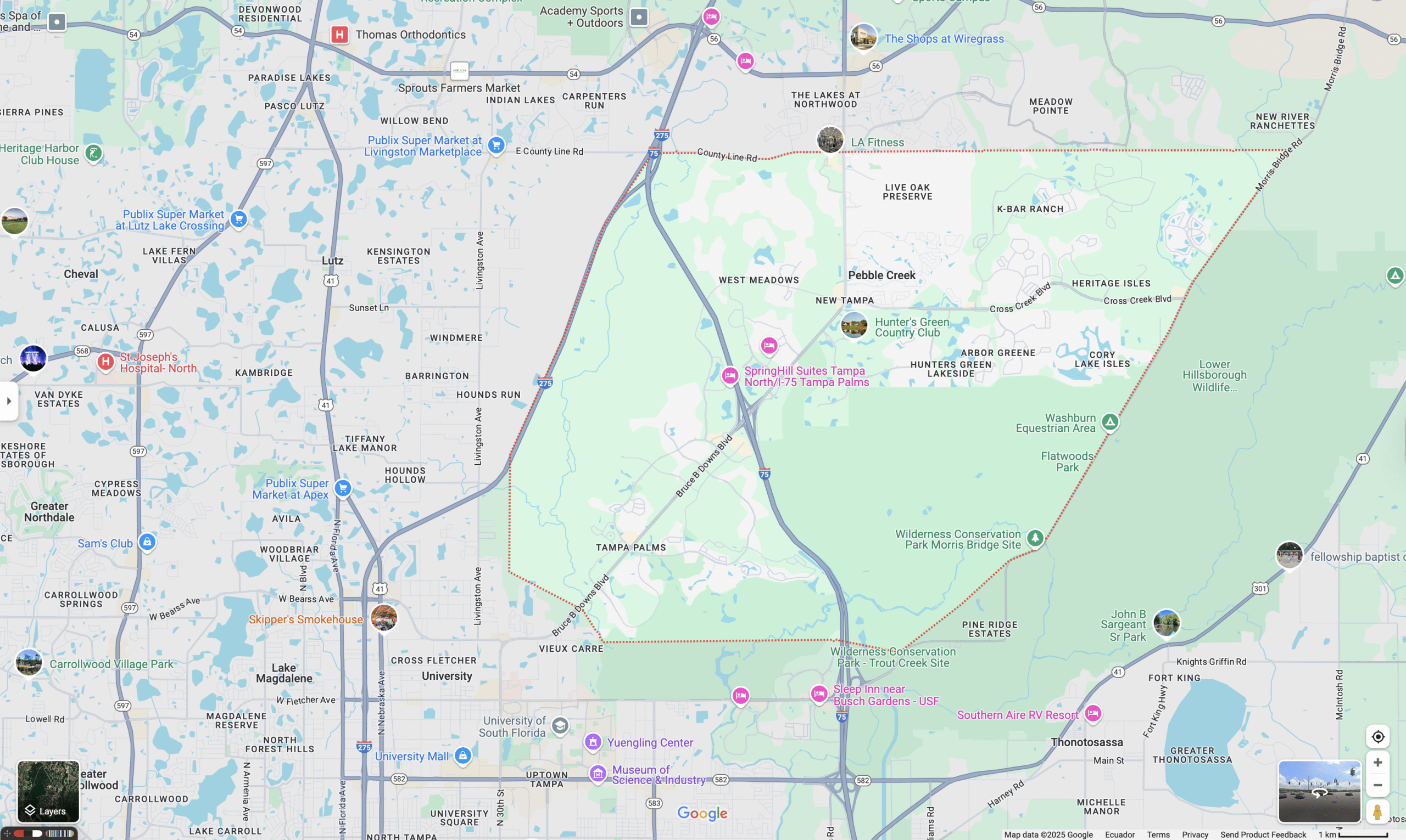 Map of New Tampa, Florida, served by Brewer Law Firm, P.A. from Zephyrhills